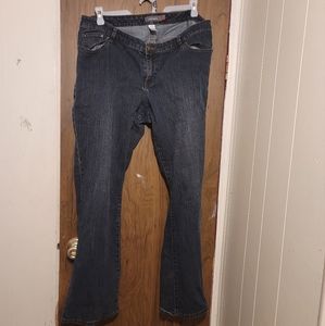 Venezia (Lane Bryant) Flare Jeans